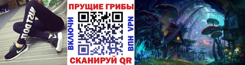 Галлюциногенные грибы Cubensis  Соль-Илецк 