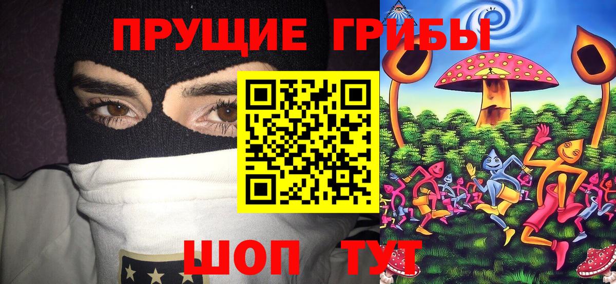 Псилоцибиновые грибы Magic Shrooms  Галлюциногенные грибы прущие грибы  Вход с VPN  Соль-Илецк 