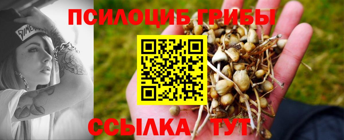 Галлюциногенные грибы GOLDEN TEACHER Соль-Илецк
